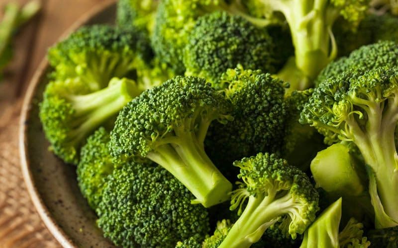 Benefits of vitamin B9 for dogs