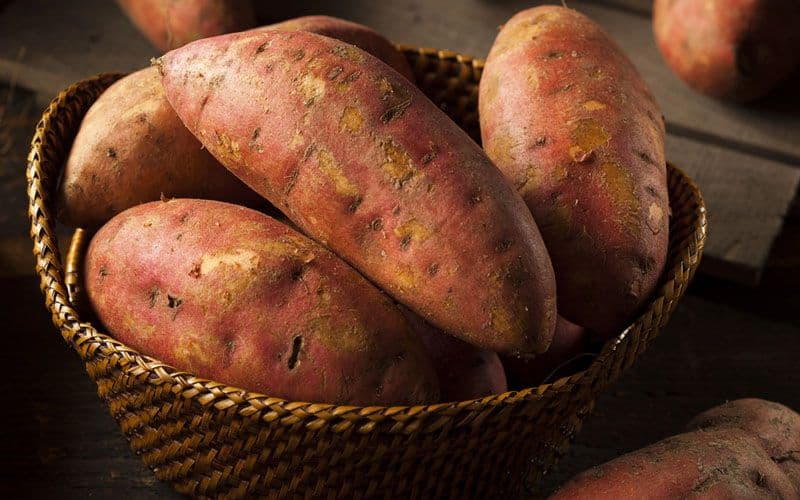 Sweet potatoes for dogs