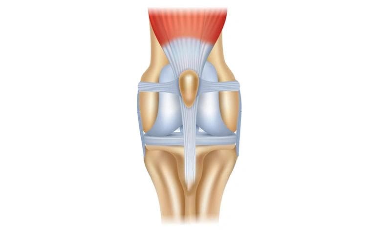 Stabiliser muscles support joint health