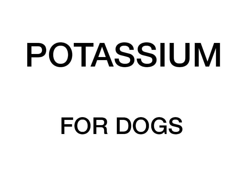 Potassium has many roles in a dog's body